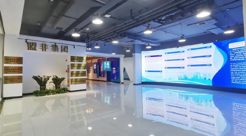 湖南盟非控股集团有限公司